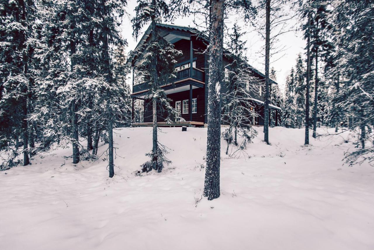 Villa Happy Fox Rovaniemi Ngoại thất bức ảnh